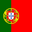 Português flag