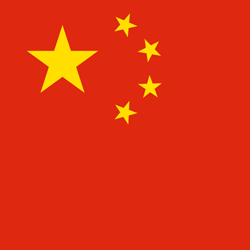 中文 flag